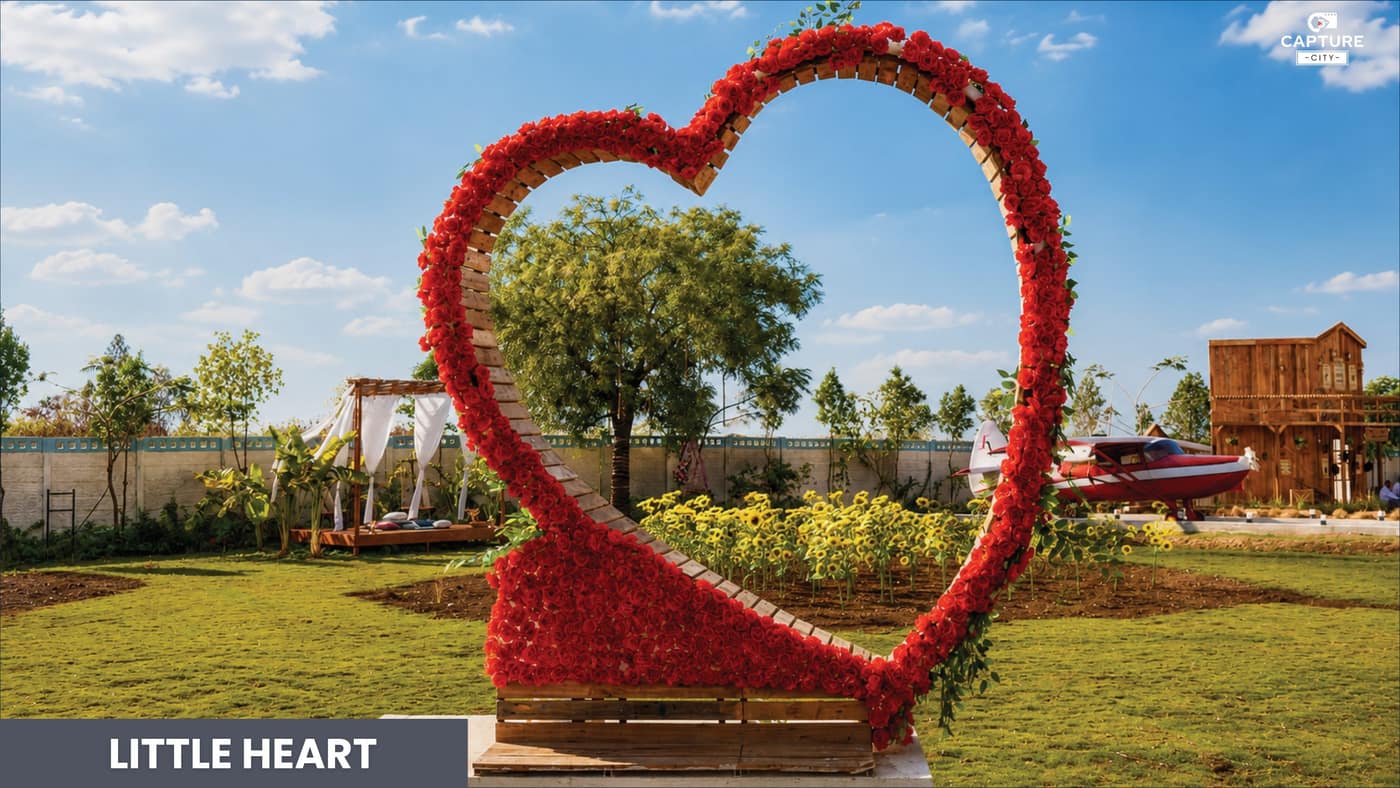 Little Heart